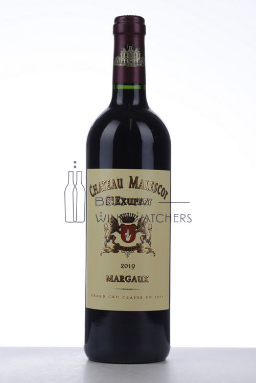 Picture of 2019 MALESCOT ST EXUPERY
